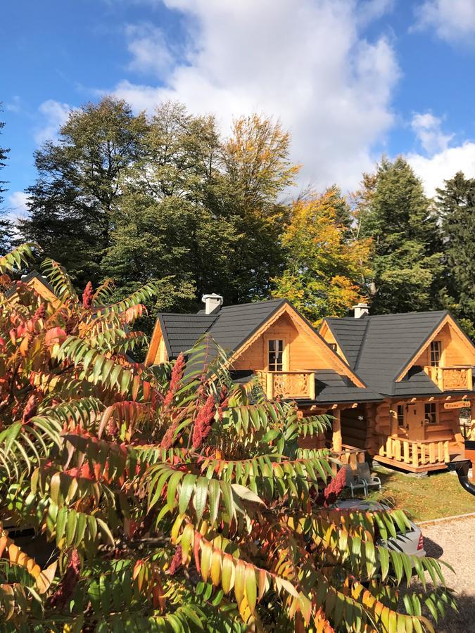 Goralska Osada Karpacz - Domki Lux Villa Luaran gambar